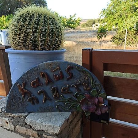 Cactus Home Каламаки Экстерьер фото