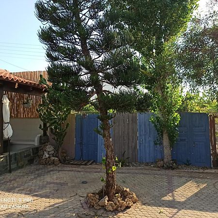 Cactus Home Каламаки Экстерьер фото