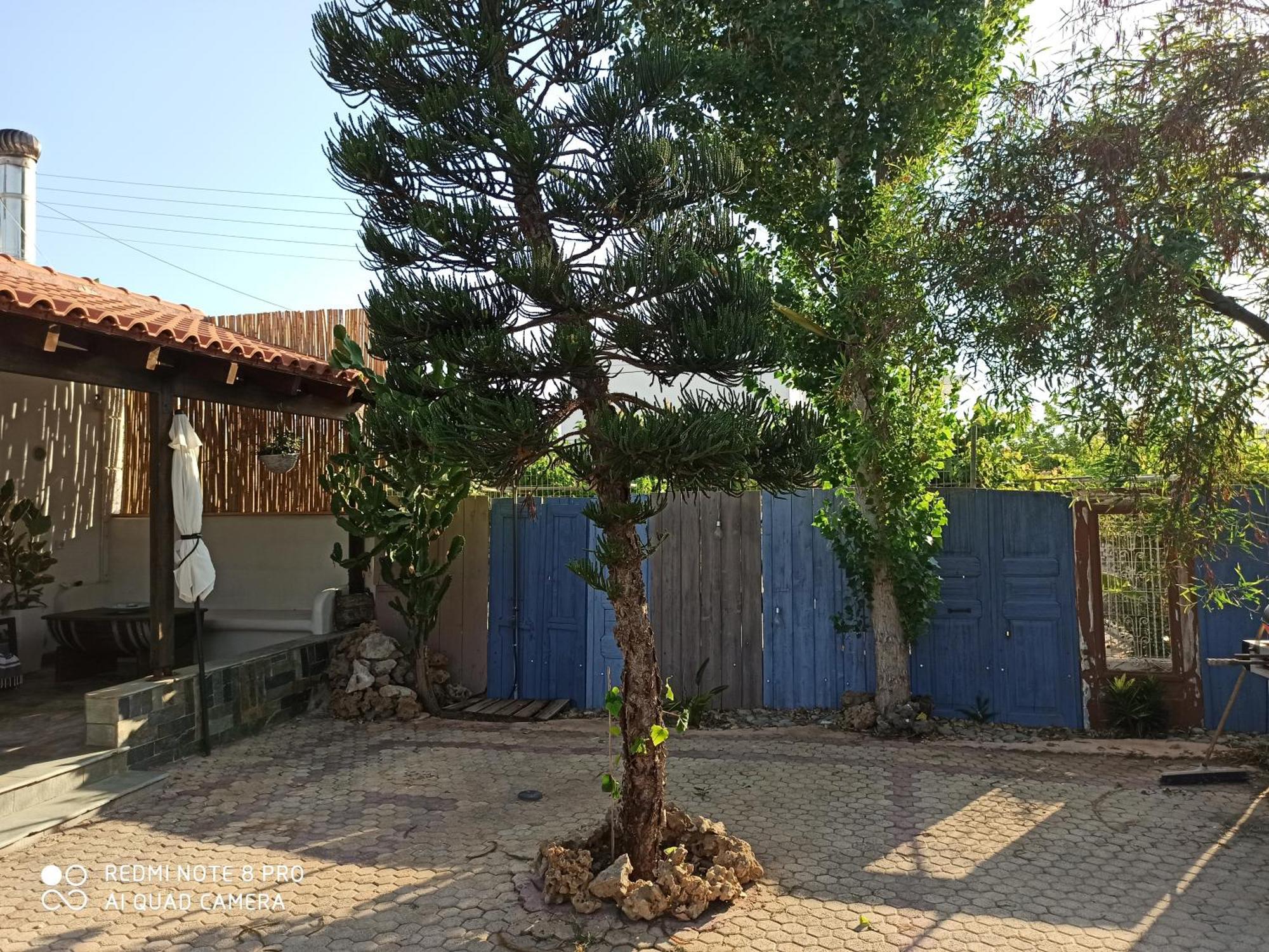 Cactus Home Каламаки Экстерьер фото