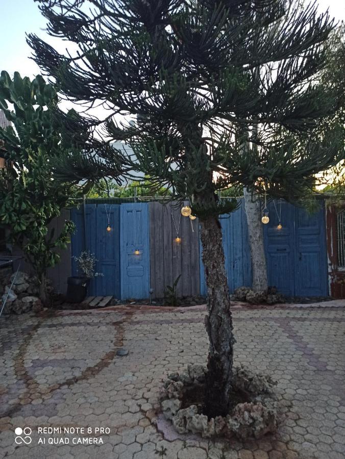 Cactus Home Каламаки Экстерьер фото